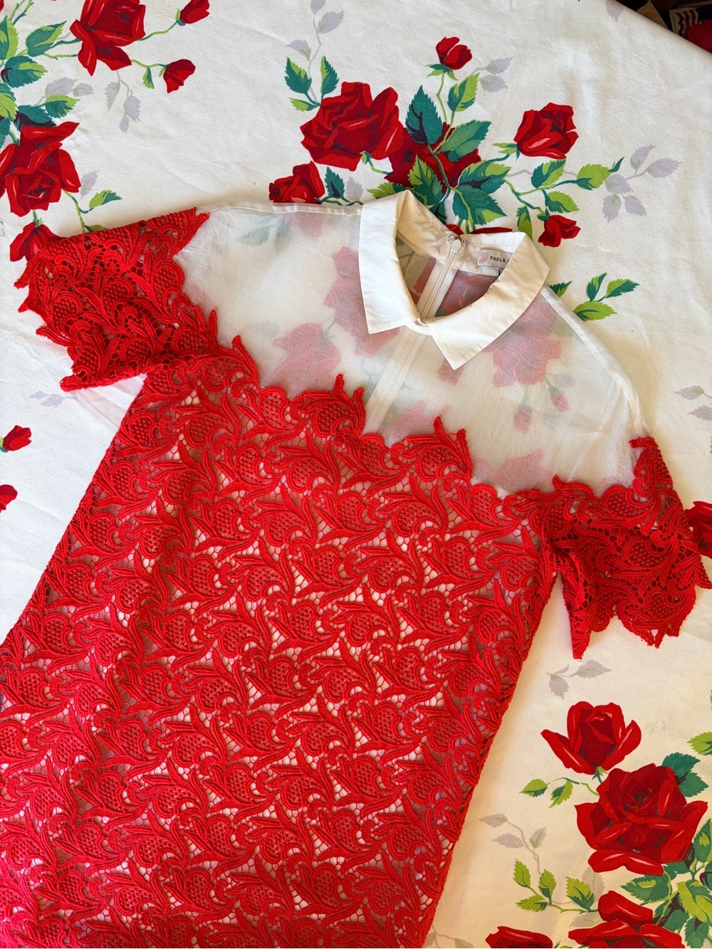 Paul & Joe Red Lace Dress with White Peter Pan Collar